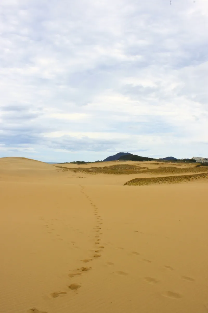 Weite Sanddünen von Tottori unter bewölktem Himmel