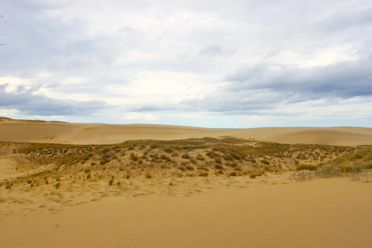 Weite Sanddünen von Tottori unter bewölktem Himmel