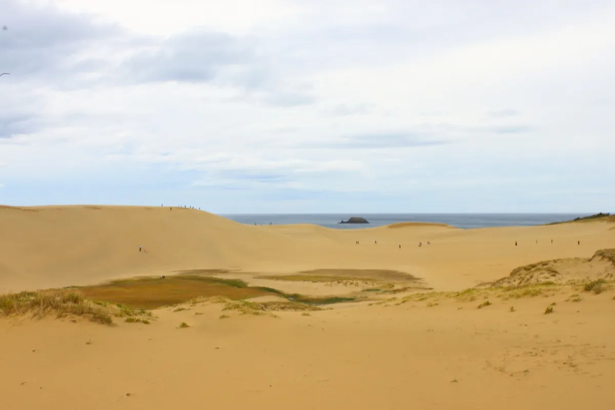 Weite Sanddünen von Tottori unter bewölktem Himmel
