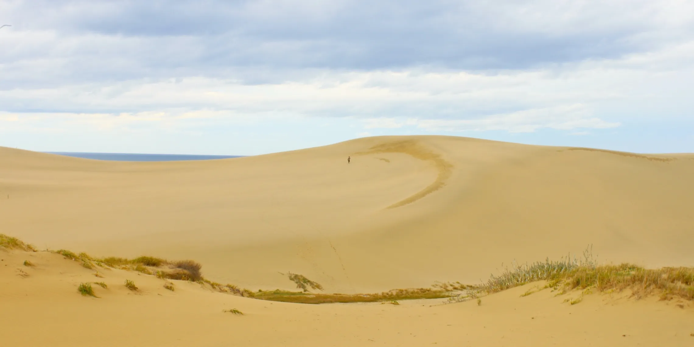 Weite Sanddünen von Tottori unter bewölktem Himmel