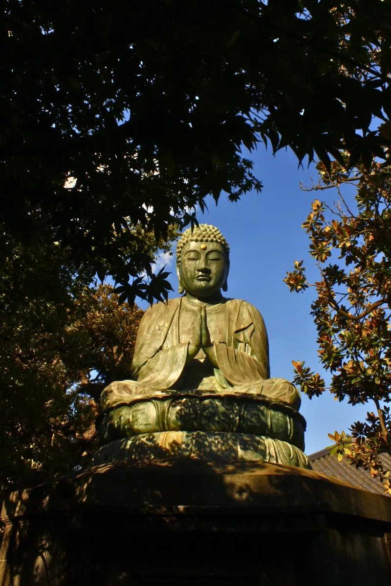 Buddhastatue in Tokio, umrahmt von den Blättern eines Baumes