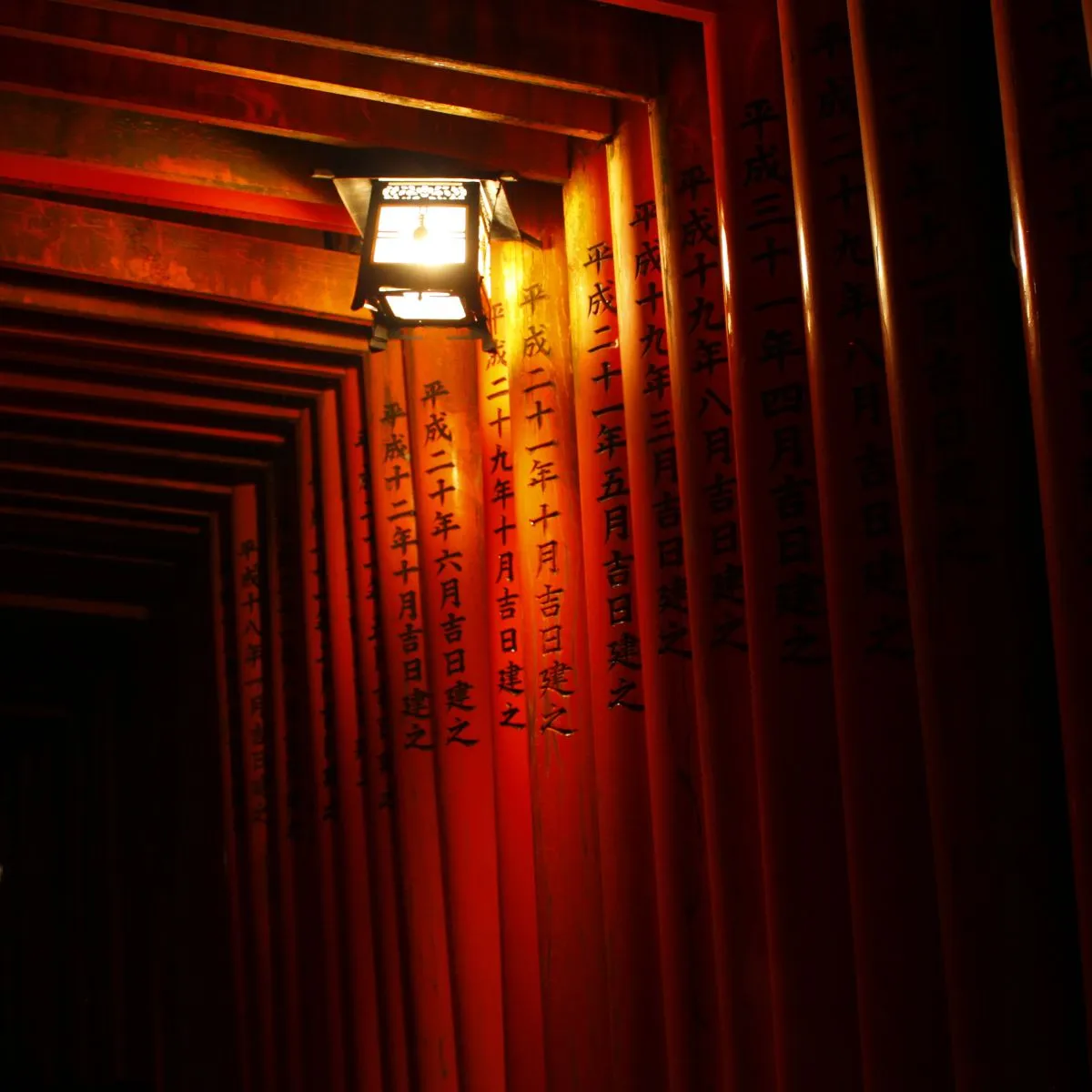Ein von einer Laterne beleuchteter torii-Gang am Fushimi-Inari-Schrein, nachts