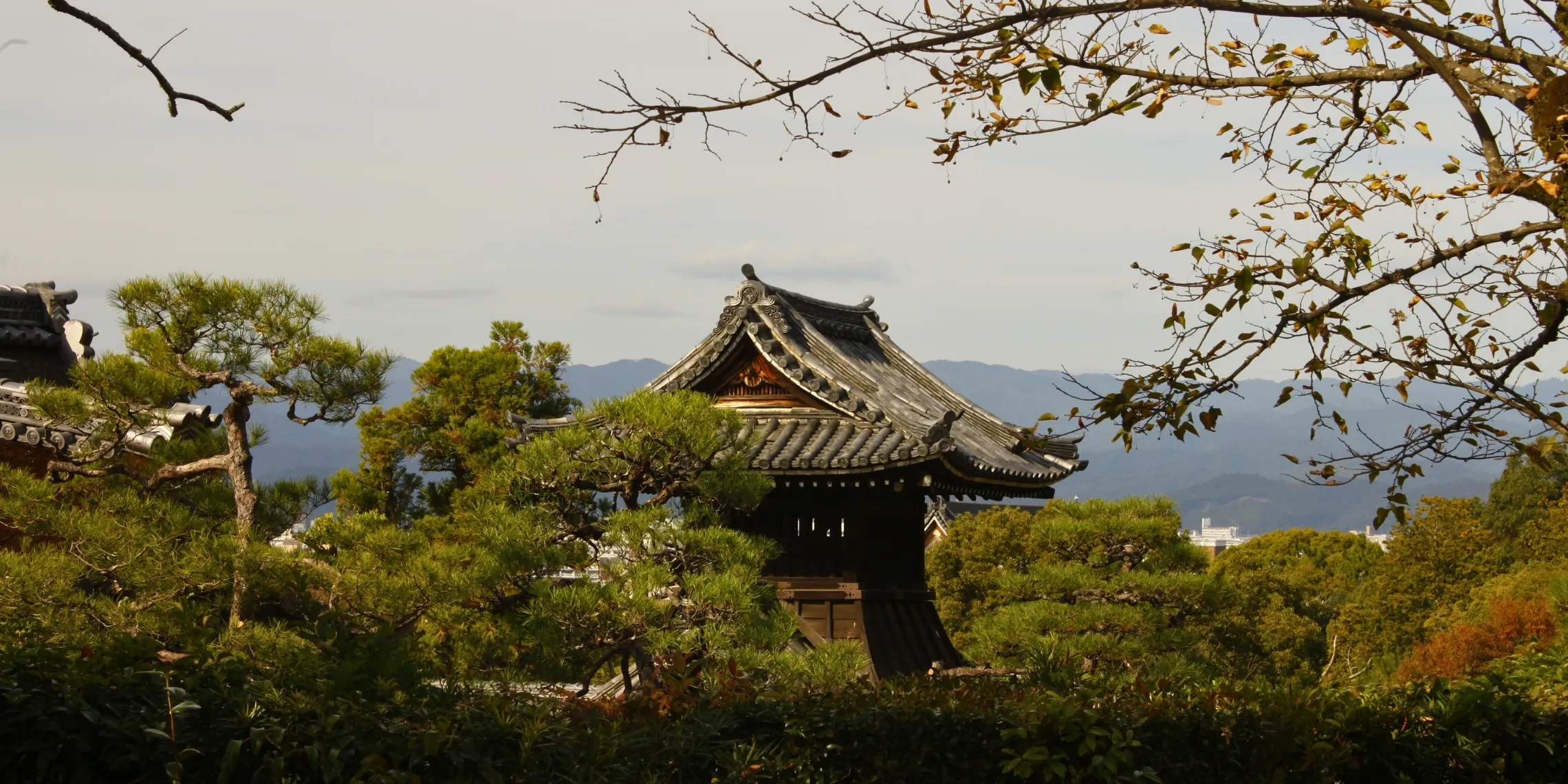 Blick auf einen Tempel in Kyoto, der teilweise hinter Bäumen verborgen ist