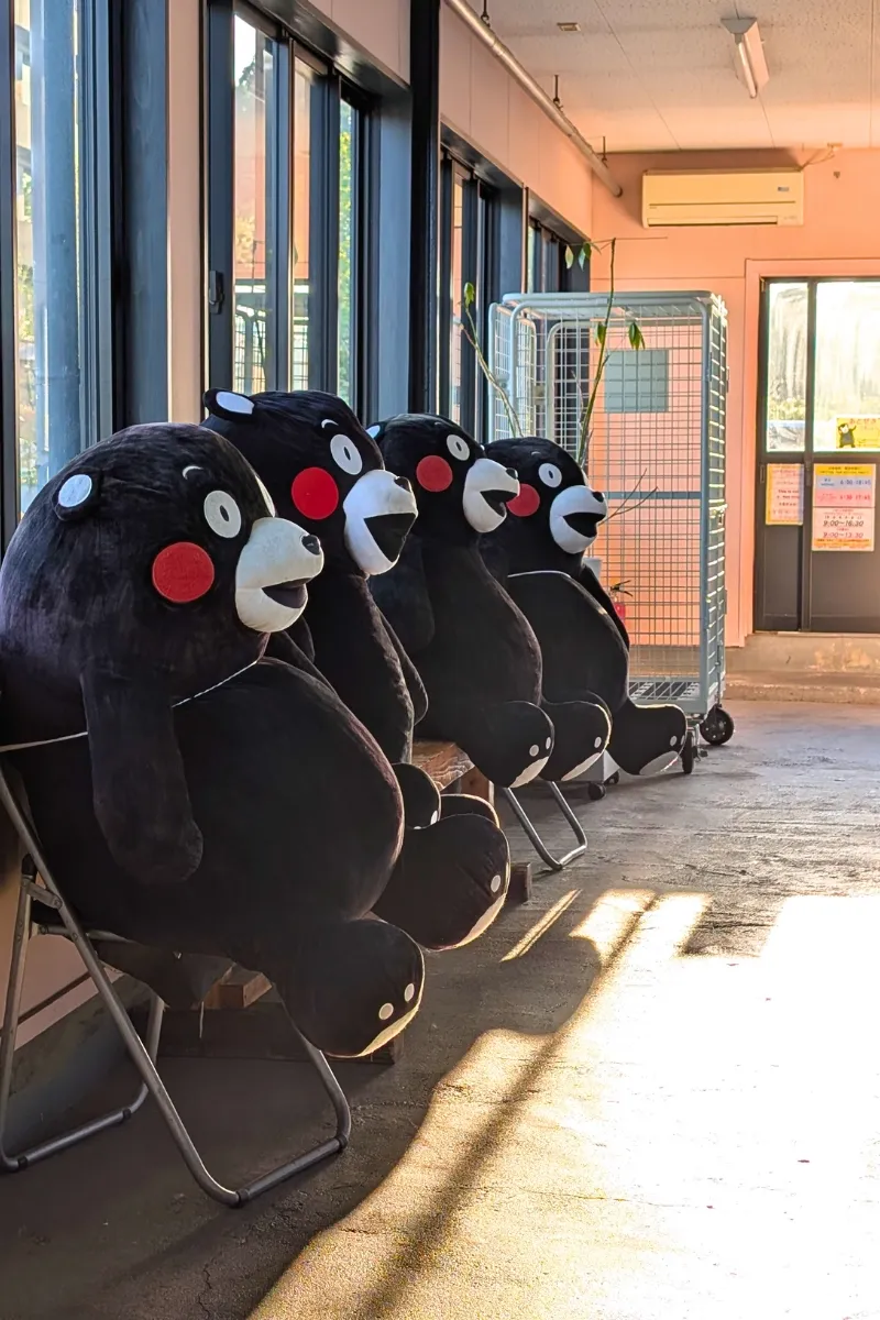 Einige Kumamon warten auf den Zug in Aso Station