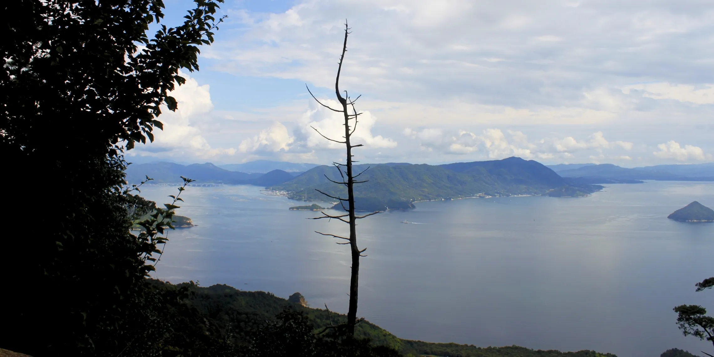 Blick auf die Insellandschaft vor Miyajima von einem Aussichtspunkt, mit einem einsamen Baum im Sichtfeld
