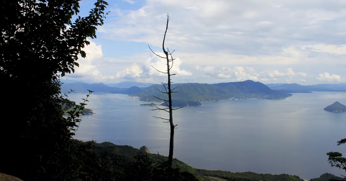 Blick auf die Insellandschaft vor Miyajima von einem Aussichtspunkt, mit einem einsamen Baum im Sichtfeld