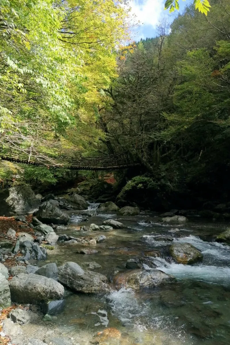 Blick auf Kazurabashi im Iya Valley vom Fluss aus