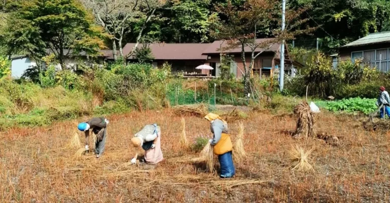 Vogelscheuchen im Nagoro Village im Iya Valley, die wie Feldarbeiter aussehen