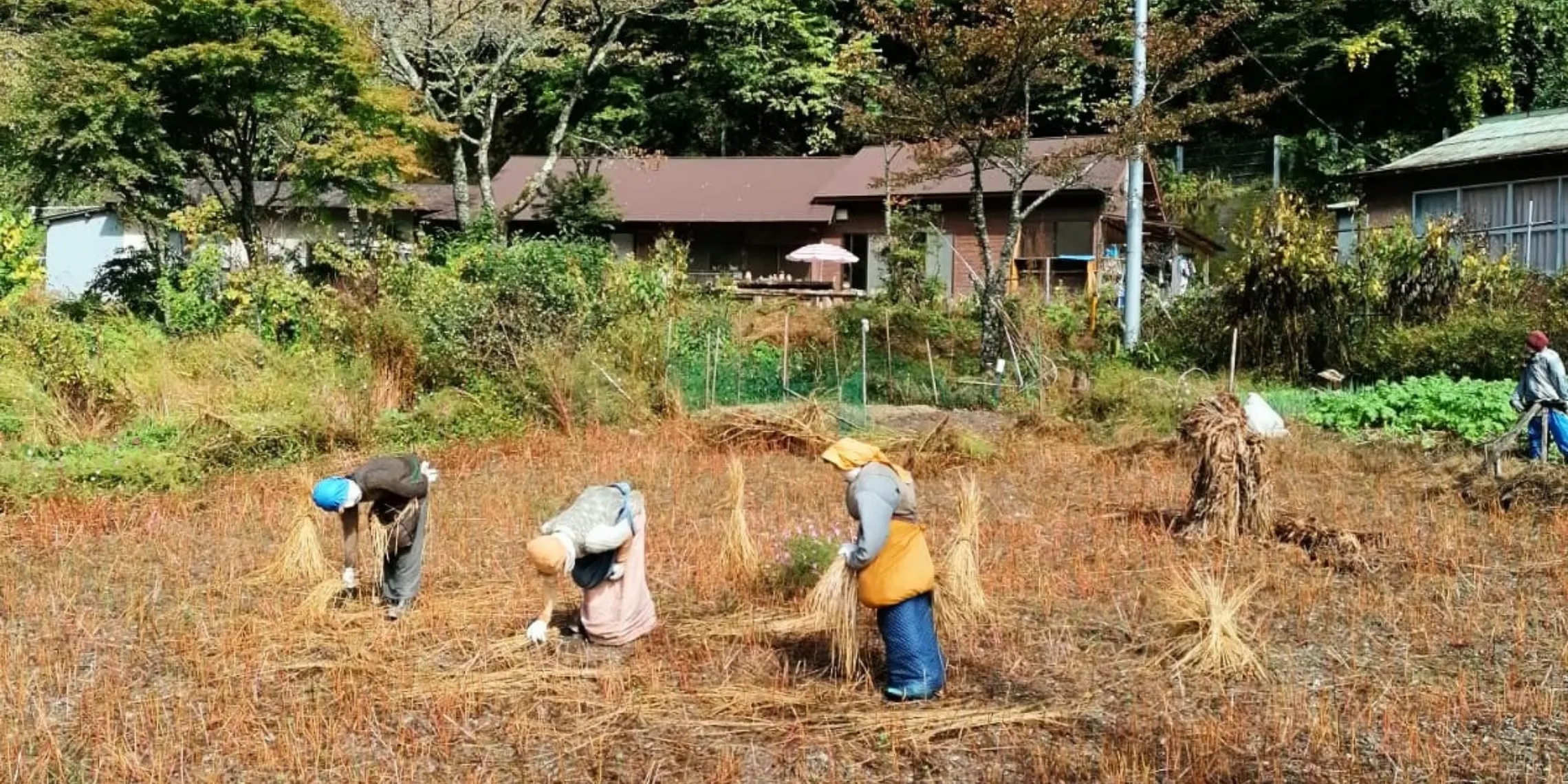 Vogelscheuchen im Nagoro Village im Iya Valley, die wie Feldarbeiter aussehen