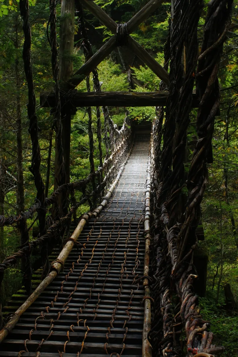 Blick auf die Kazurabashi-Lianenbrücke im Iya Valley