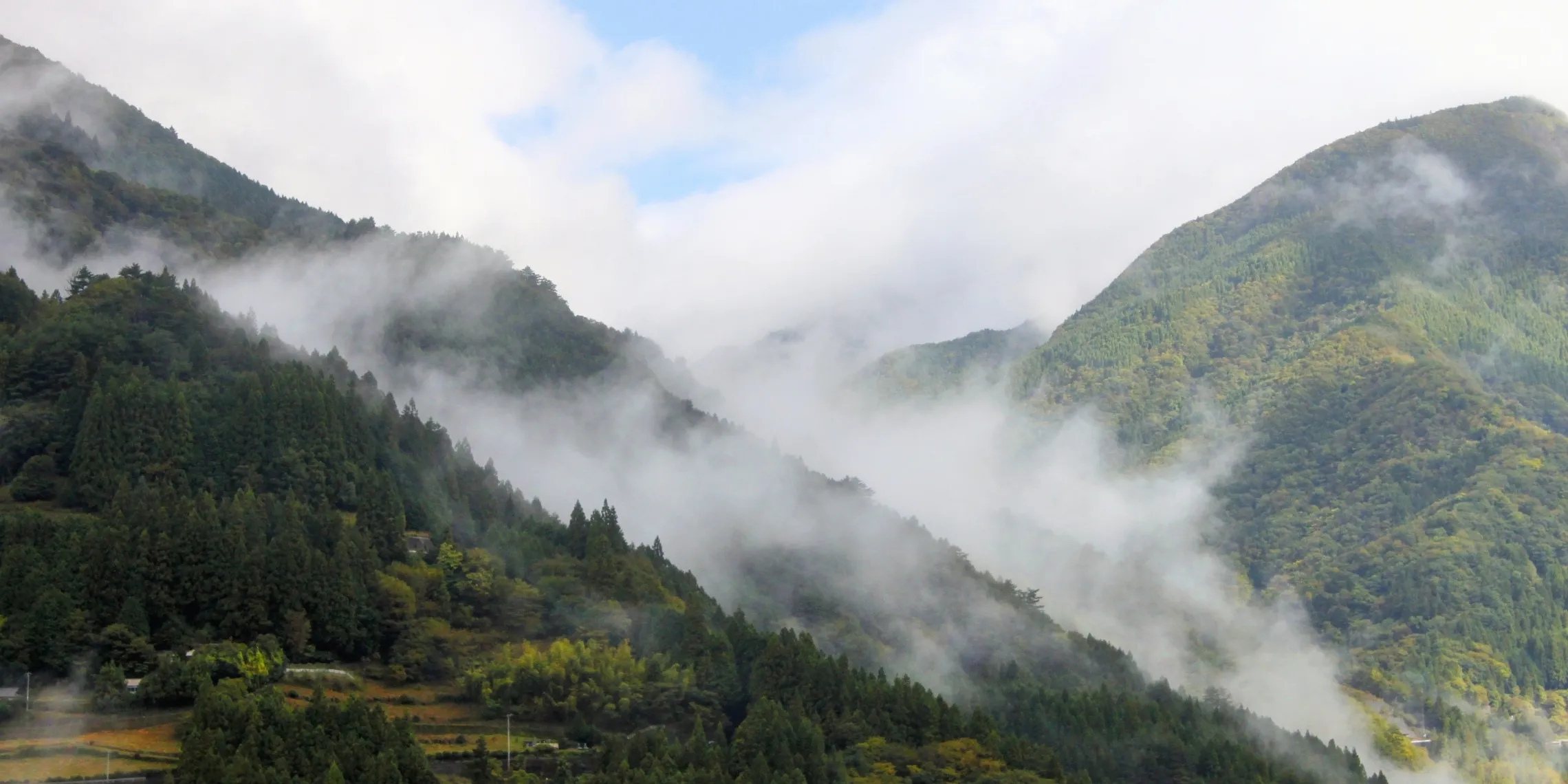 Nebelschwaden ziehen die Berghänge des Iya Valley auf Shikoku, Japan herunter
