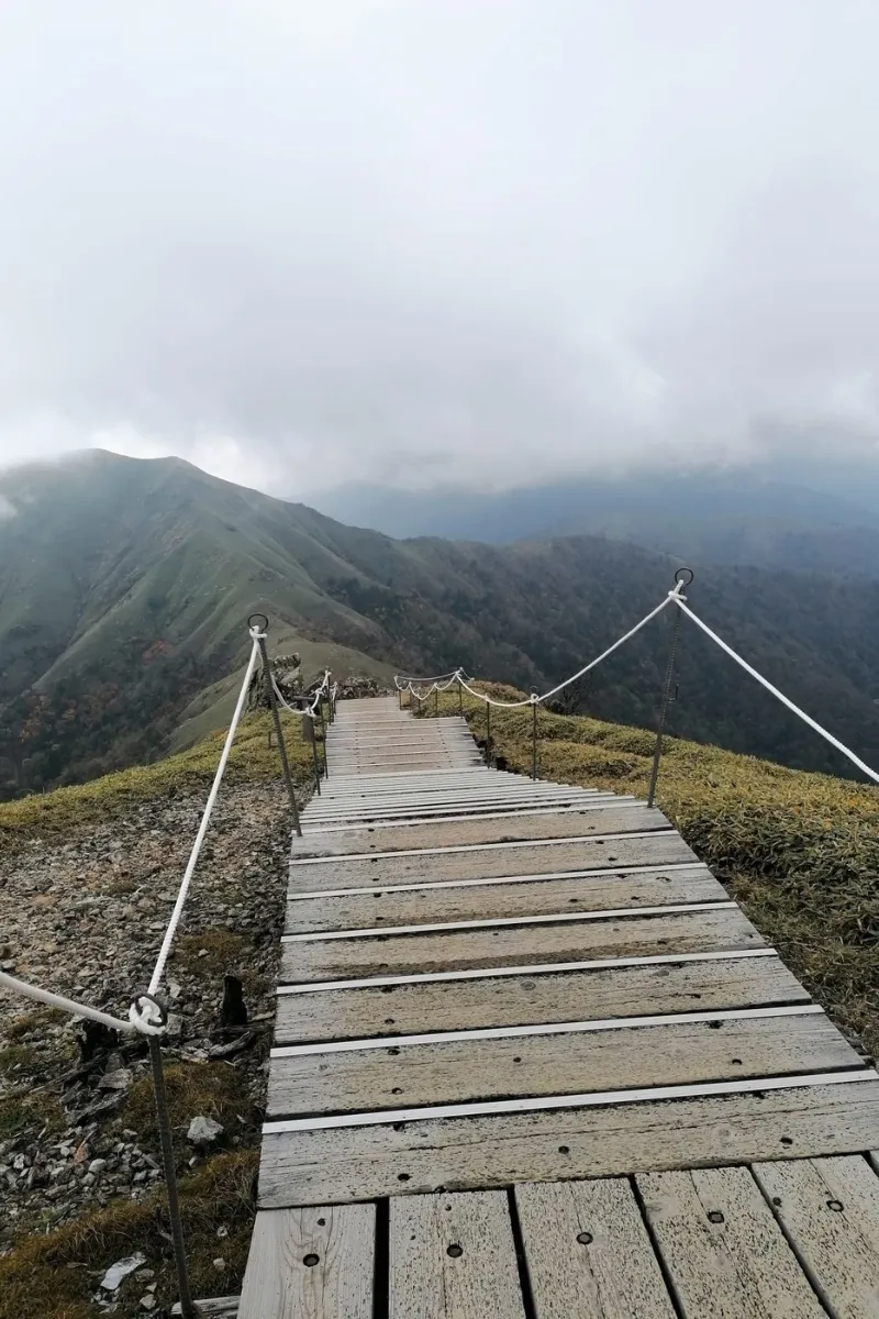 Holzweg auf dem Gipfel von Mount Tsurugi