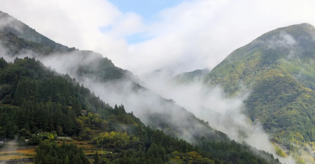 Nebelschwaden ziehen die Berghänge des Iya Valley auf Shikoku, Japan herunter