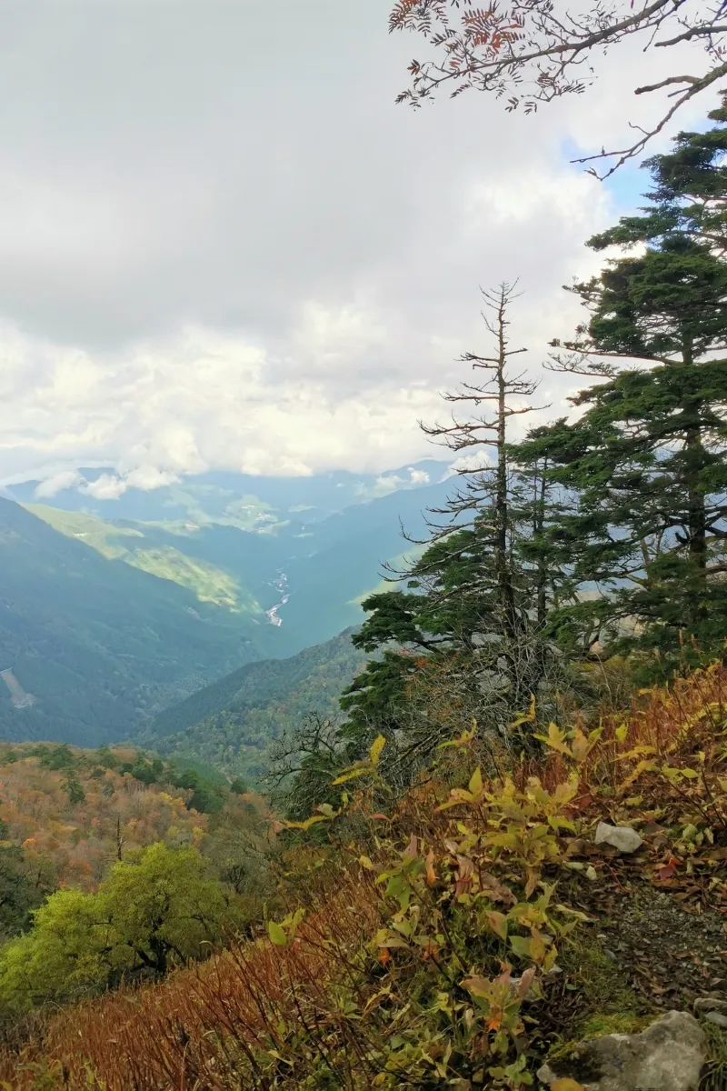 Blick von Mount Tsurugi im IYa Valley an einem Herbsttag